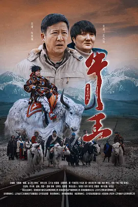 全集免费观看超清