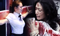 全集免费观看超清